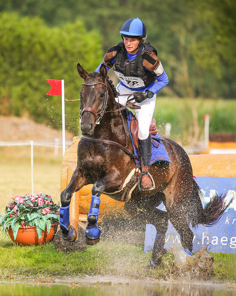 Czaprak wszechstronny QHP Eldorado