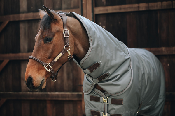Kantar anatomiczny Kentucky Horsewear Anatomic Leather Halter