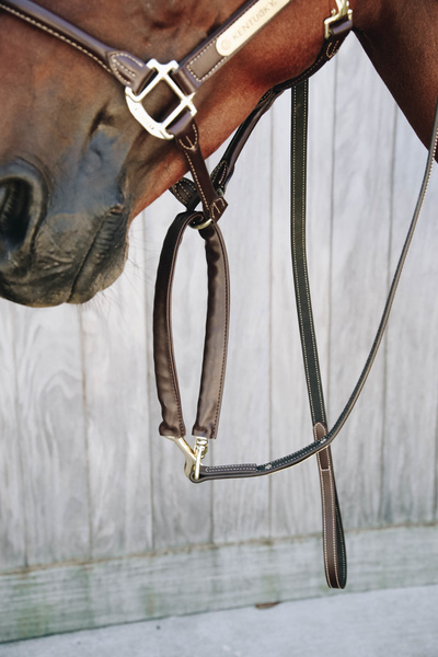 Uwiąz z łańcuszkiem pokrytym skórą syntetyczną Kentucky Horsewear Leather Covered Chain Lead