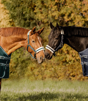 Kantar z futrem Waldhausen Elegant