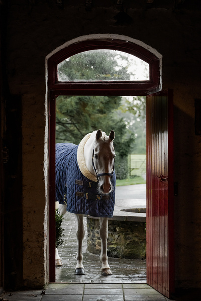Derka stajenna Kentucky Horsewear Show Rug Logo 160g