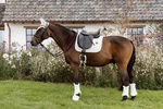Ochraniacze z futrem Kentucky Horsewear Turnout Boots Air