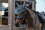 Nauszniki wyciszające Kentucky Horsewear Wellington Stone & Pearl