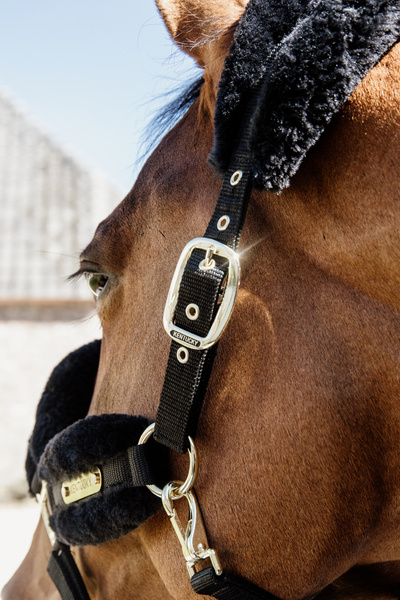 Kantar z futrem syntetycznym Kentucky Horsewear Nylon Sheepskin Halter Soft