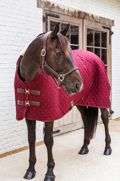 Derka stajenna Kentucky Horsewear - 400g