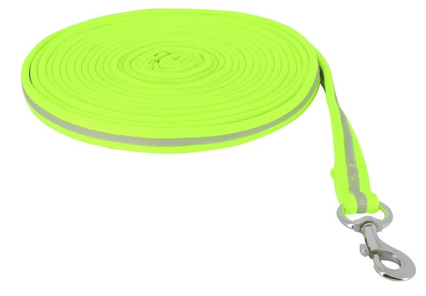 Lonża EQUITHÈME HIGH VISIBILITY