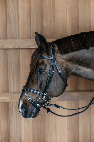 Ogłowie z nachrapnikiem angielskim Dy'on Working Collection WOAPG