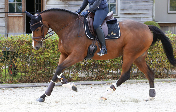 Ochraniacze ujeżdżeniowe z futrem Kentucky Horsewear Turnout Boots Leather - przody