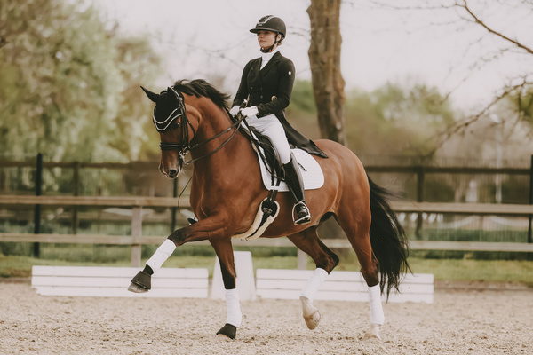 Nauszniki klasyczne Kentucky Horsewear Wellington Big Stone&Pearl