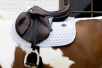 Czaprak wszechstronny Kentucky Horsewear Glitter Band