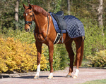 Derka treningowa QHP Quarter Rug Classy