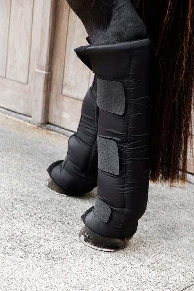 Ochraniacze stajenno-transportowe na tylne nogi Kentucky Horsewear Stable Boots PROtect Long Hind