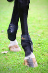 Ochraniacze tylne Kentucky Horsewear Deep Fetlock