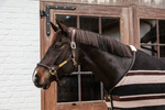 Derka polarowa Kentucky Horsewear Fleece Rug Heavy Stripes