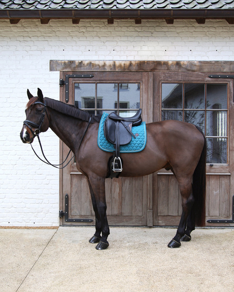 Czaprak ujeżdżeniowy Kentucky Horsewear Melange