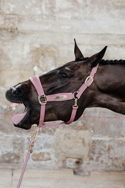 Uwiąz Kentucky Horsewear Lead Rope Basic