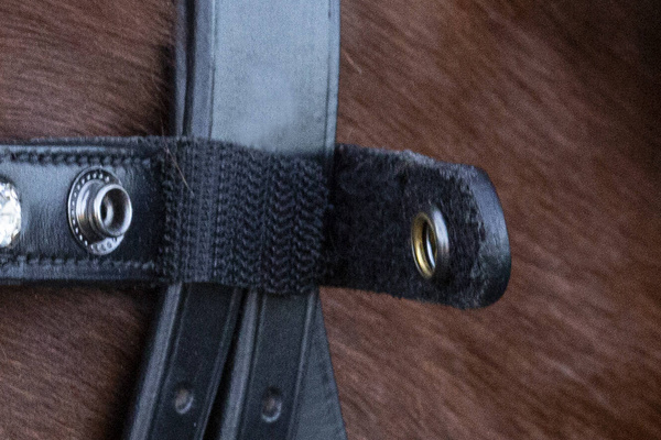 Naczółek opadający Schockemöhle Sports Siena