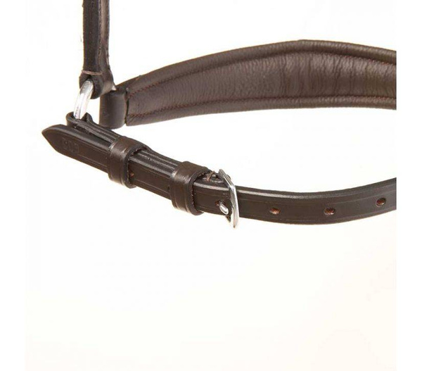 Nachrapnik hanowerski Kavalkade