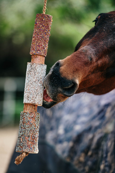 Gryzak dla koni Candy Horse – Odprężenie