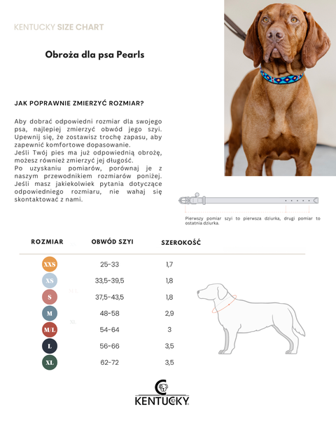 Obroża dla psa Kentucky Dogwear Pearls