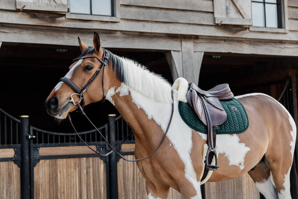 Czaprak skokowy Kentucky Horsewear Skin Friendly Velvet