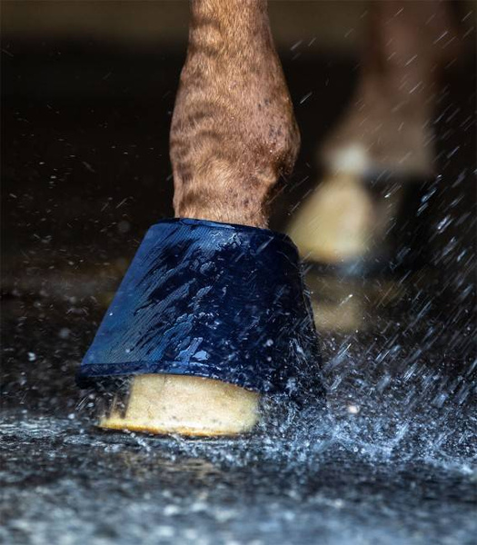 Nawilżające kaloszki do kopyt Waldhausen Water Bell Boots