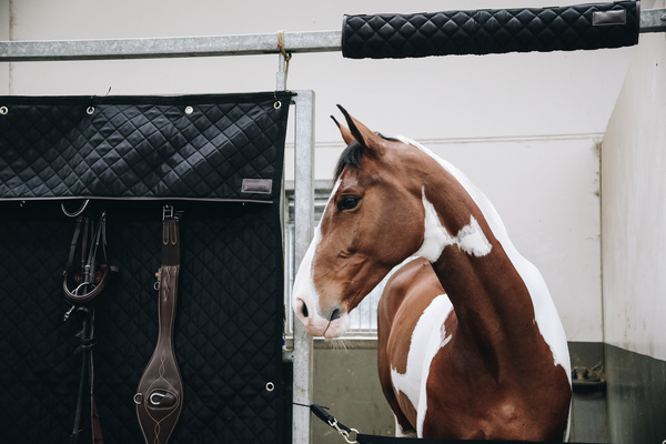 Ochraniacz na ramę drzwi boksu dla koni Kentucky Head Protector