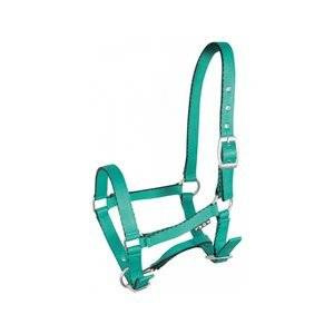 Kantar źrebięcy York Tobi