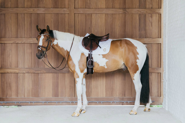 Czaprak skokowy Kentucky Horsewear Wave