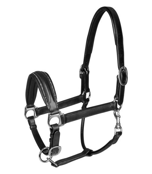 Kantar skórzany Waldhausen Glamour