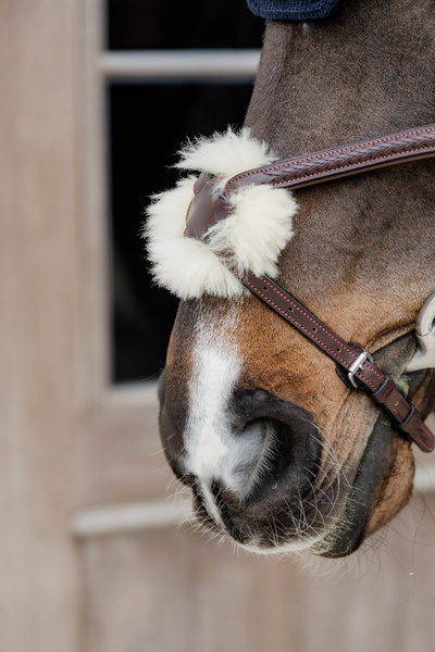 Ogłowie z nachrapnikiem meksykańskim Dy'on New EnglishCollection Plaited NEAOAV