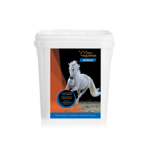 Suplement wspierający budowanie tkanki mięśniowej Equinox Muscle