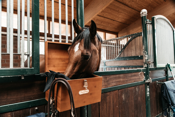 Skrzynka na akcesoria jeździeckie na boks Grooming Deluxe Stable Tack Box