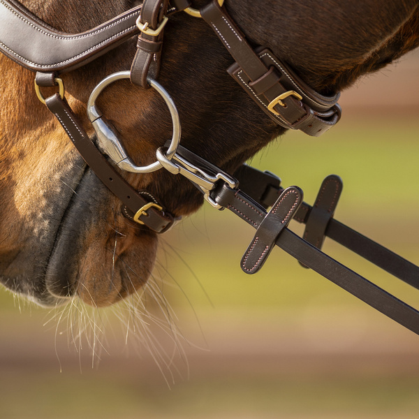 Wodze skórzano-gumowe zapinane na karabińczyk QHP