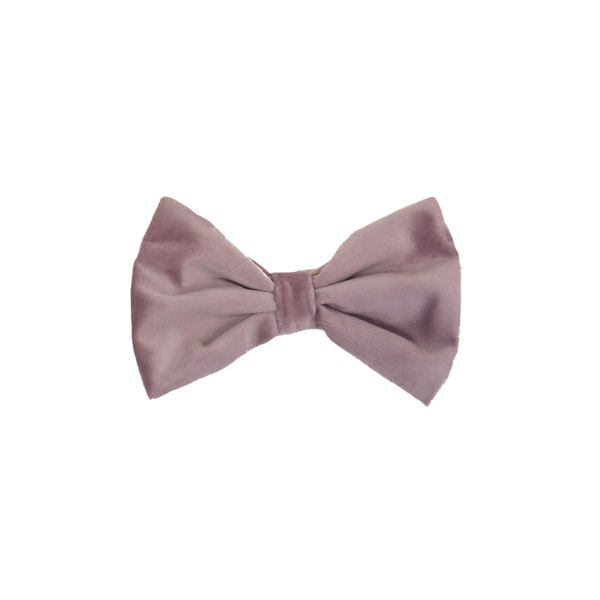 Kokarda do obroży dla psa Kentucky Dogwear Velvet