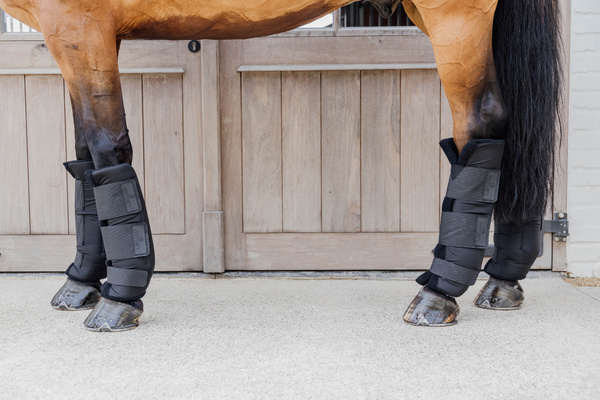 Ochraniacze stajenno-transportowe na przednie nogi Kentucky Horsewear Stable Boots PROtect Classic Front