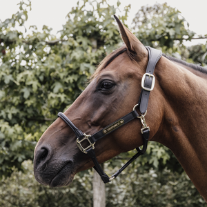 Kantar anatomiczny Kentucky Horsewear Anatomic Leather Halter