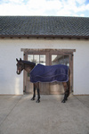 Derka osuszająca Kentucky Horsewear 3D Spacer Cooler Sheet
