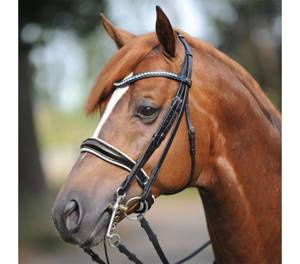 Ogłowie munsztukowe ze szwedzkim nachrapnikiem Kavalkade Antonia