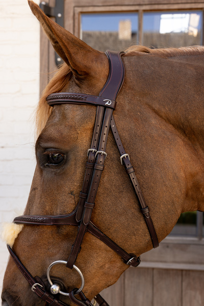 Ogłowie z nachrapnikiem meksykańskim Dy'on New EnglishCollection Plaited NEAOAV