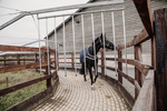 Derka treningowa do karuzeli i lonżowania Kentucky Horsewear Walker Rug Waterproof 160g