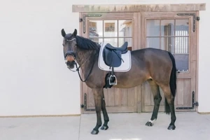 Czaprak ujeżdżeniowy Kentucky Horsewear Metal Chain