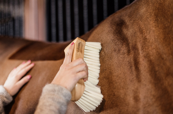 Szczotka do sierści Grooming Deluxe Middle Soft