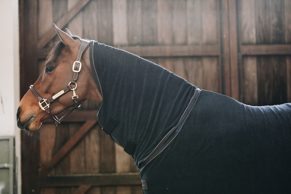 Kantar anatomiczny Kentucky Horsewear Anatomic Leather Halter