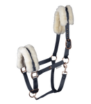 Kantar Waldhausen Modern Rose