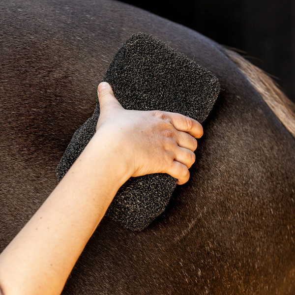 Gąbka do czyszczenia konia QHP Equi super shiner