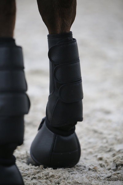 Ochraniacze crossowe Kentucky Horsewear Air Tech - przody