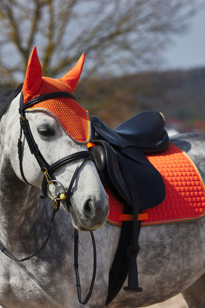 Czaprak wszechstronny Horze Adepto