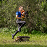 Koń Hobby Horse QHP