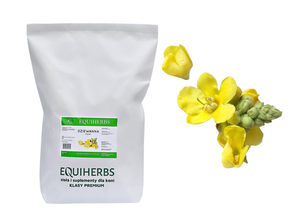 Dziewanna kwiat EQUIHERBS